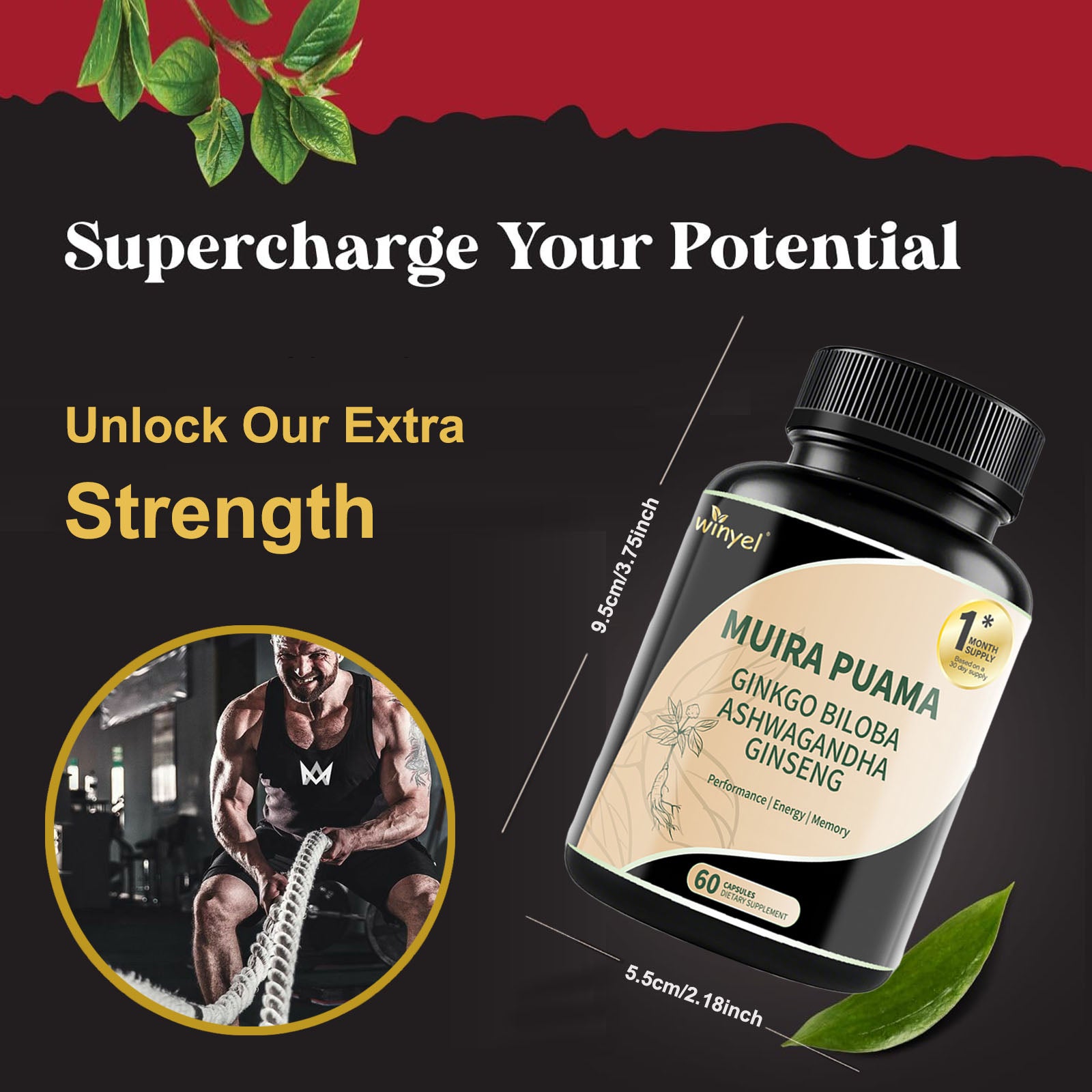Muira Puama Ginseng Ashwagandha Ginkgo Tribulus Herbal Supplements Unleash Your Potential through Our Pills Dietary Supplements, Help Promote an Active and Healthy Lifestyle 60 Capsules