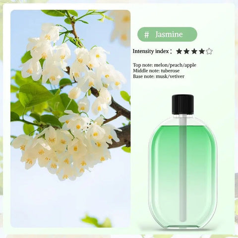 Digital Aromatherapy Diffuser with Mood Light 1000mAh Auto Spray 5 Modes Timer Humidifier for Sleep Essential Oil Diffuser 50ml Dig Deep Fitness