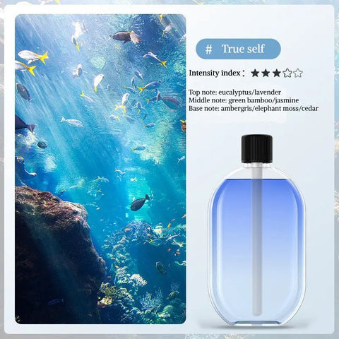 Digital Aromatherapy Diffuser with Mood Light 1000mAh Auto Spray 5 Modes Timer Humidifier for Sleep Essential Oil Diffuser 50ml Dig Deep Fitness
