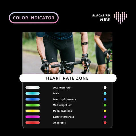 Blackbird HR5 Armband Heart Rate Monitor Arm Hand Strap Sensor ANT+ Wireless Fitness for XOSS IGPSPORT Cycling Bicycle Sports Dig Deep Fitness