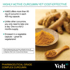 Pharmaceutical-Grade Turmeric Curcumin Capsules | Turmeric Capsules and Curcumin Supplements for Immune Support | Natural Joint Support Turmeric Herbal Supplements 400 Mg