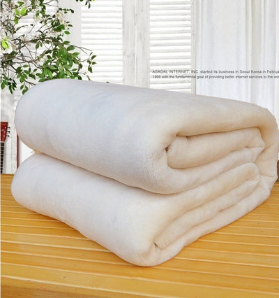 Flannel blanket coral blanket null
